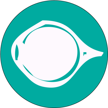 Cornea