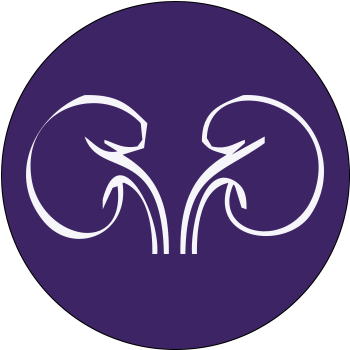 Kidneys