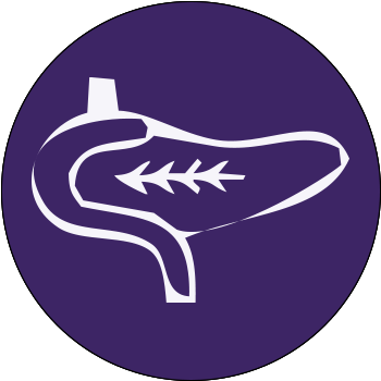 Pancreas