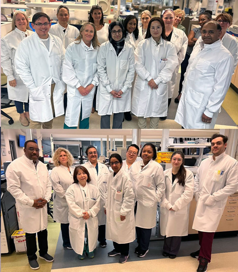 Dos grupos de investigadores con batas blancas de laboratorio posan en un laboratorio para una foto de equipo.